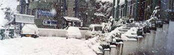 De Park Hotel Shimla Bagian luar foto